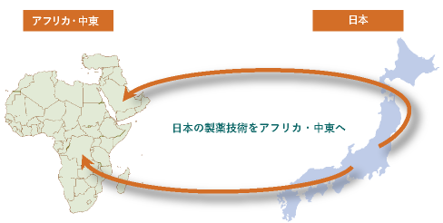 日本とAMEの架け橋